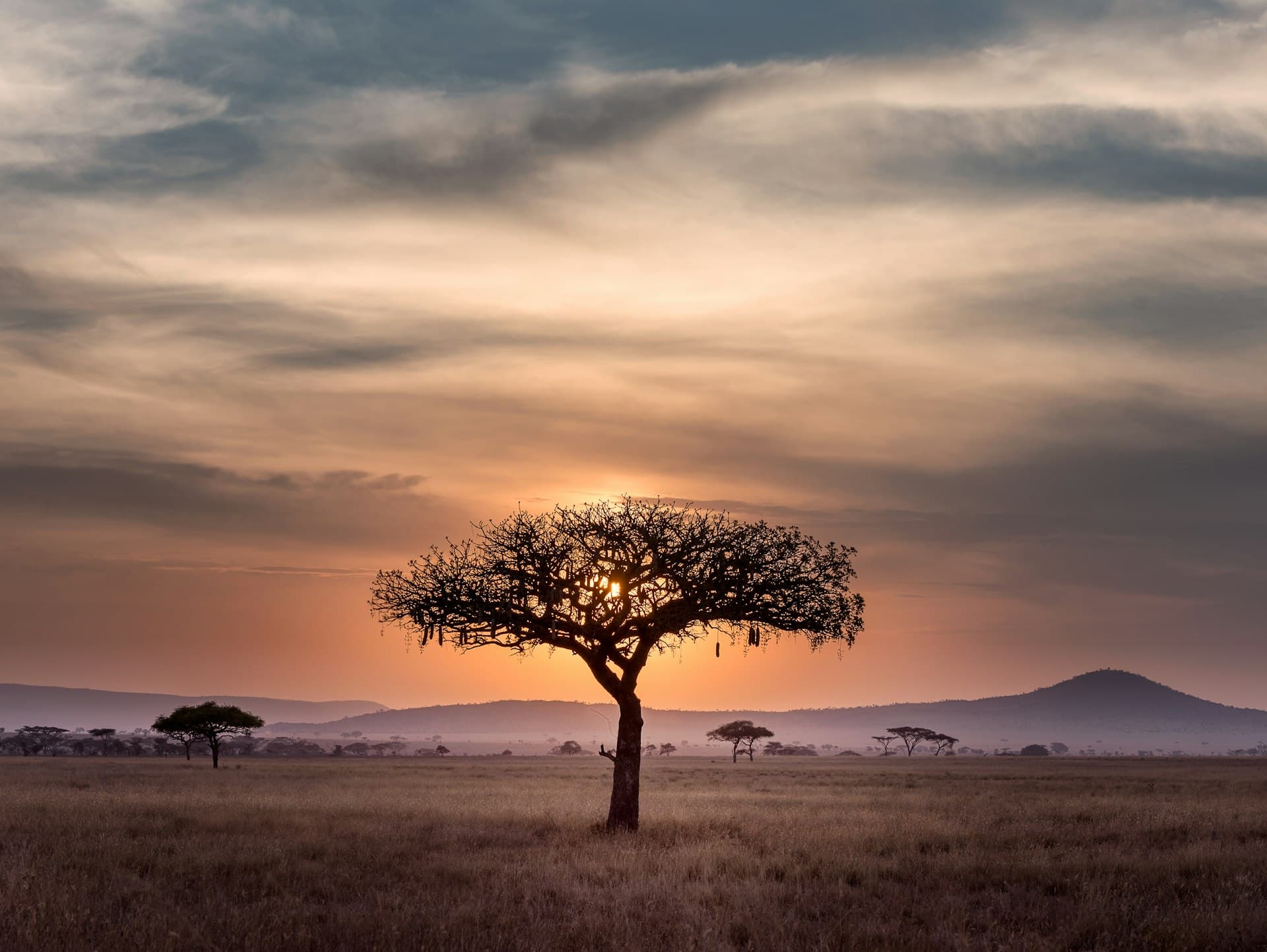 African landscape at scale